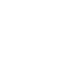 Wallet Icon